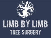 Limb By Limb Tree Surgery